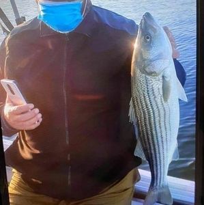 Meet your Posher, Wilson morales